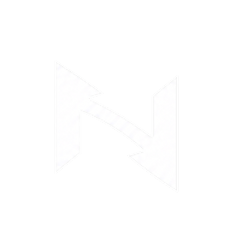INSANE Logo